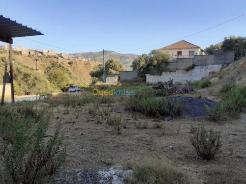 Vente Terrain Béjaïa El flaye