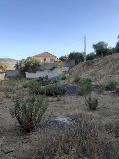 Vente Terrain Béjaïa El flaye