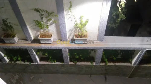 Location Appartement F4 Alger El biar