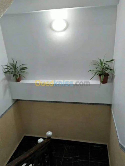 Location Appartement Skikda Skikda