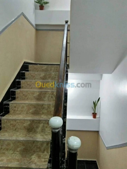 Location Appartement Skikda Skikda