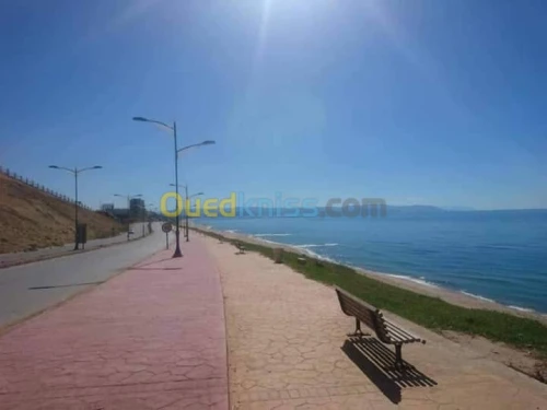 Location Appartement Skikda Skikda