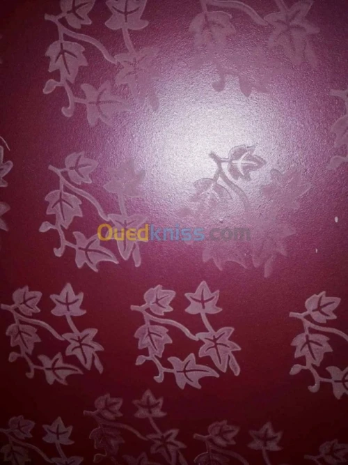 décoration et peinture et placoplatre 
