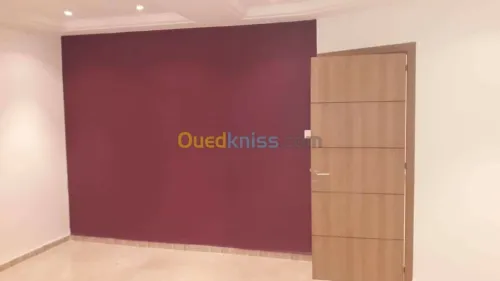 décoration et peinture et placoplatre 