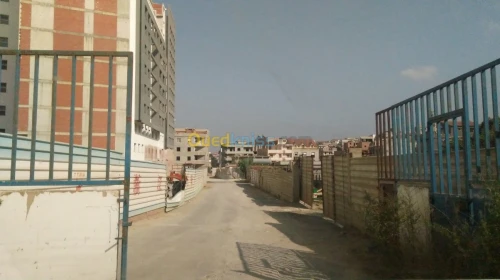 Vente Terrain Alger Said hamdine