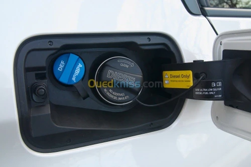 ADBLUE OFF/FAP OFF/EGR OFF/CHIPTUNIG