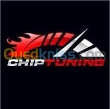 ADBLUE OFF/FAP OFF/EGR OFF/CHIPTUNIG