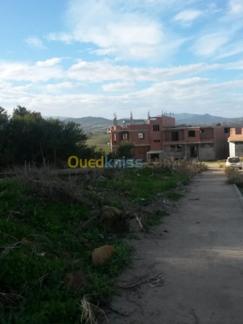 Vente Terrain Jijel Jijel