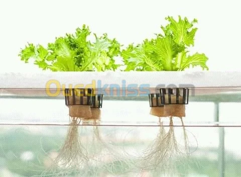 Fournitures hydroponiques