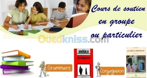 Aide scolaire, cours de soutien 