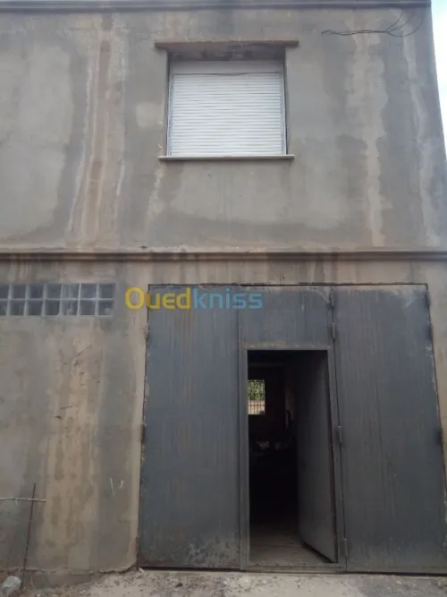 Vente Carcasse Blida Ouled selama