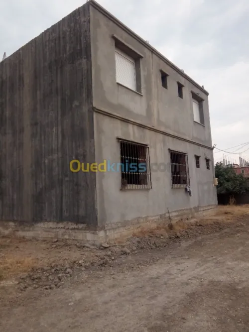 Vente Carcasse Blida Ouled selama
