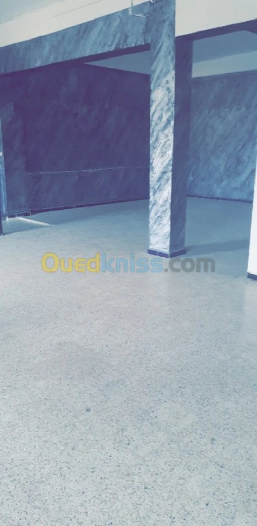 Location Niveau De Villa Médéa Ksar boukhari