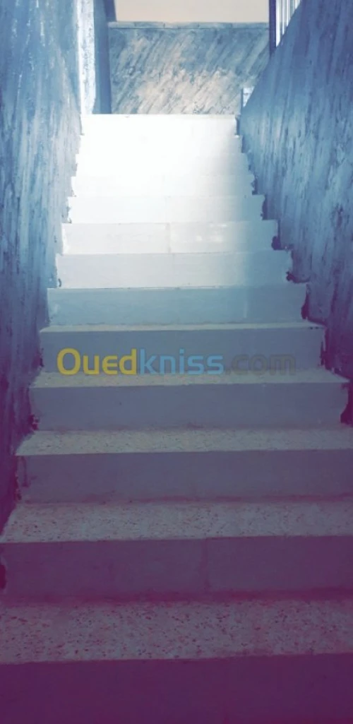 Location Niveau De Villa Médéa Ksar boukhari