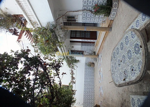 Vente Villa Tipaza Tipaza