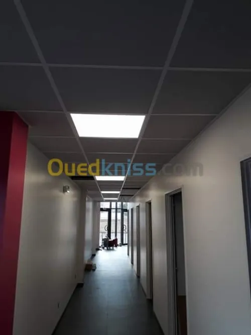 Mur rideau et Alucobond 