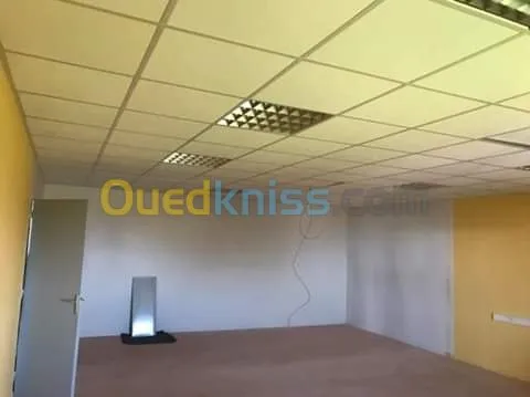 Mur rideau et Alucobond 