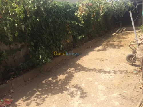 Vente Villa Boumerdes Zemmouri