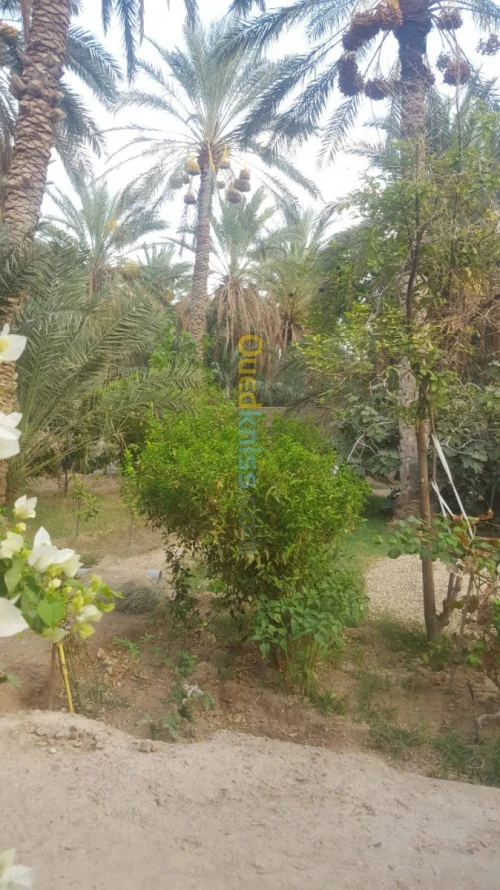 Vente Villa Biskra Bouchagroun
