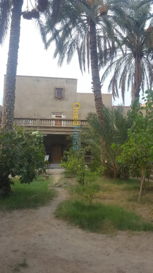 Vente Villa Biskra Bouchagroun