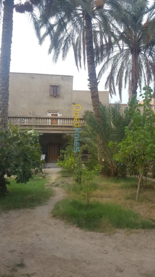 Vente Villa Biskra Bouchagroun