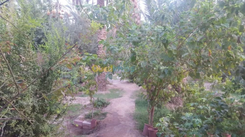 Vente Villa Biskra Bouchagroun