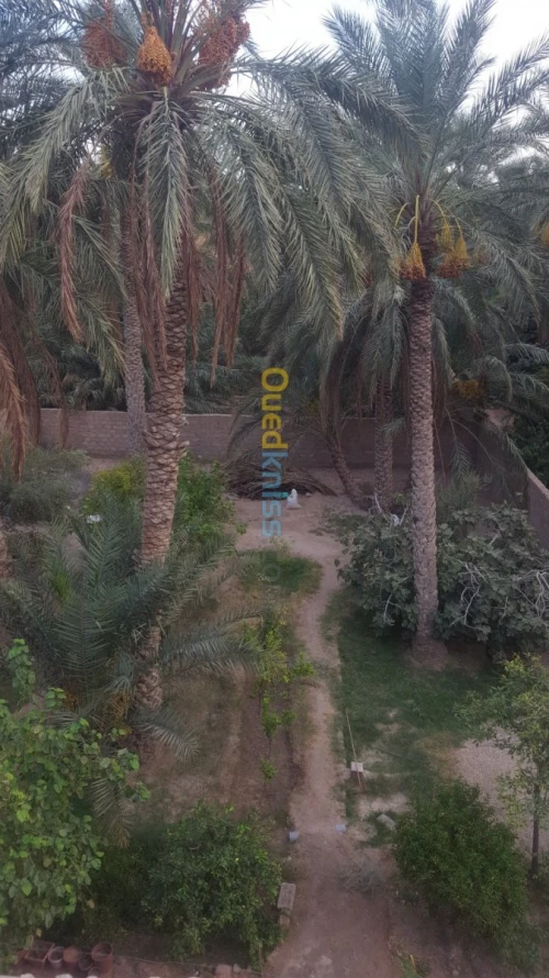 Vente Villa Biskra Bouchagroun