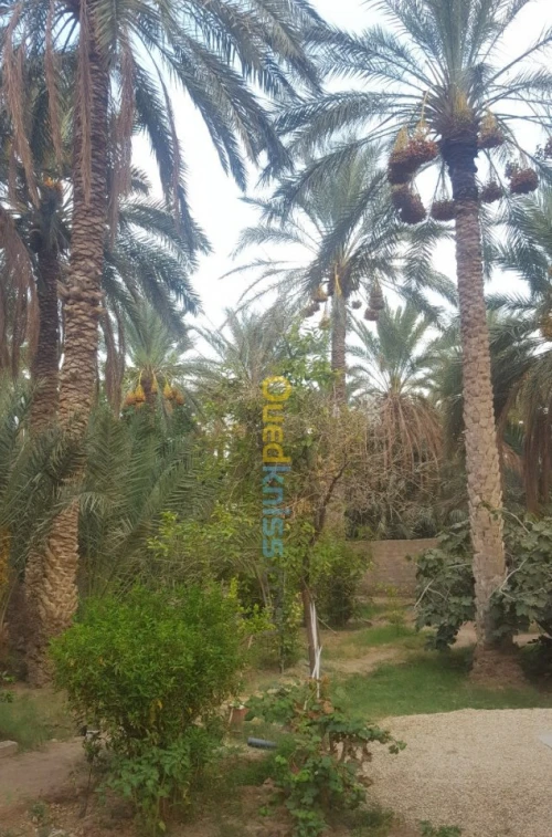 Vente Villa Biskra Bouchagroun