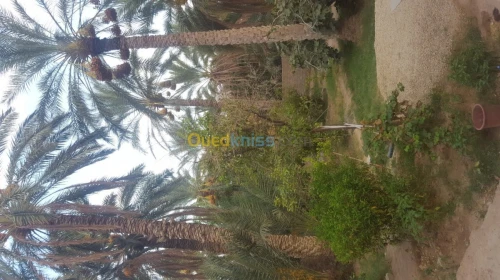 Vente Villa Biskra Bouchagroun