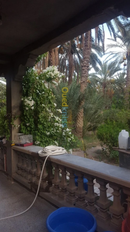 Vente Villa Biskra Bouchagroun
