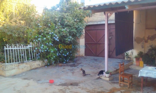 Vente Villa Mostaganem Mostaganem