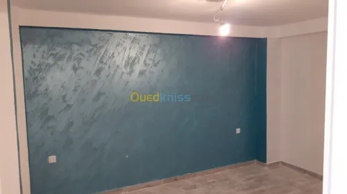Réalisation toute travaux en peinture