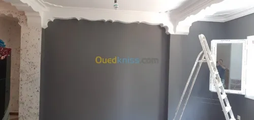 Réalisation toute travaux en peinture