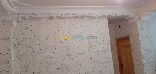 Réalisation toute travaux en peinture