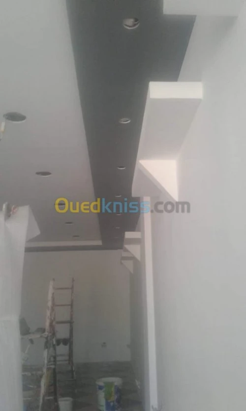 PLACOPLATRE - FAUX PLAFOND-PARQUET. PVC