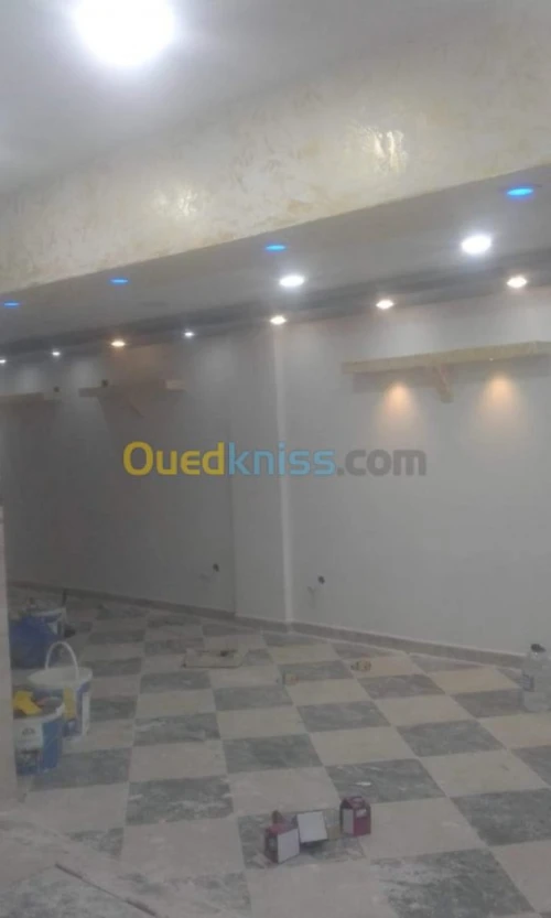 PLACOPLATRE - FAUX PLAFOND-PARQUET. PVC