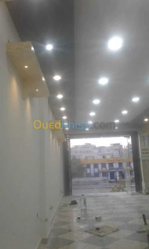 PLACOPLATRE - FAUX PLAFOND-PARQUET. PVC