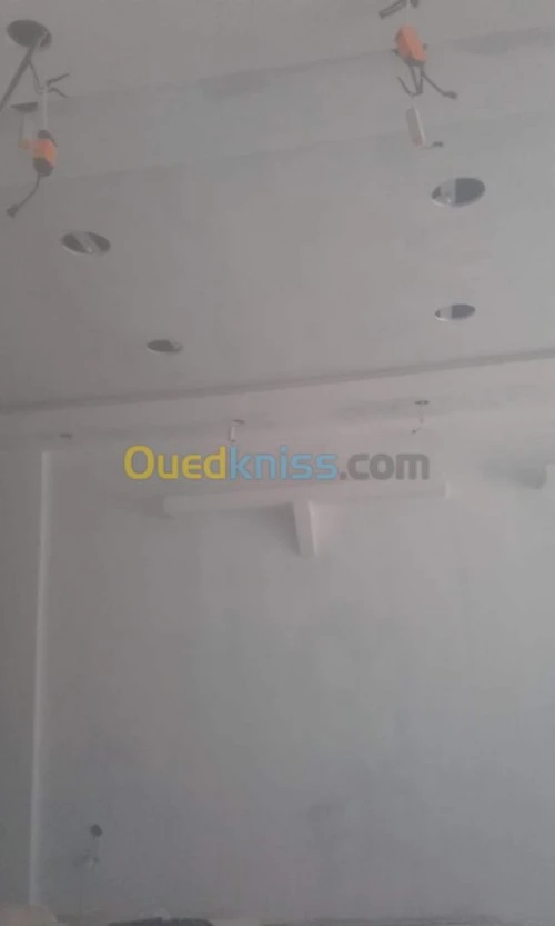 PLACOPLATRE - FAUX PLAFOND-PARQUET. PVC