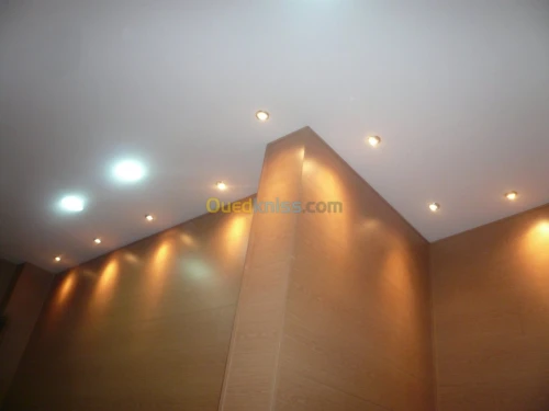 PLACOPLATRE - FAUX PLAFOND-PARQUET. PVC