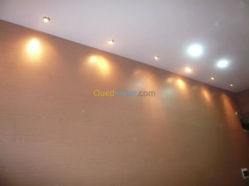 PLACOPLATRE - FAUX PLAFOND-PARQUET. PVC
