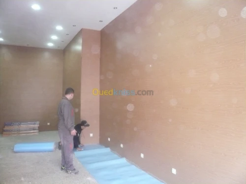 PLACOPLATRE - FAUX PLAFOND-PARQUET. PVC