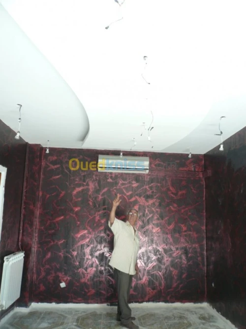 PLACOPLATRE - FAUX PLAFOND-PARQUET. PVC