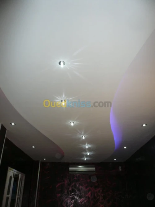 PLACOPLATRE - FAUX PLAFOND-PARQUET. PVC
