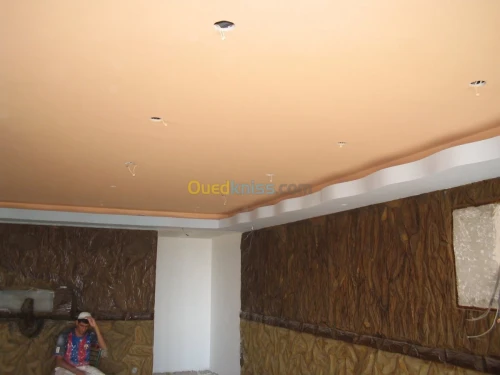 PLACOPLATRE - FAUX PLAFOND-PARQUET. PVC