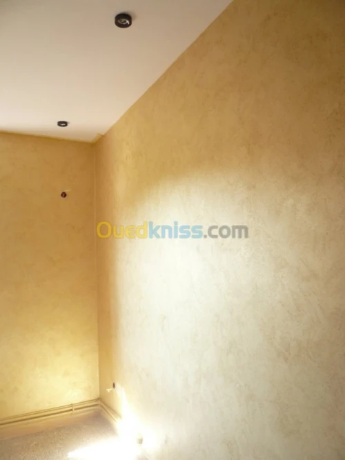 PLACOPLATRE - FAUX PLAFOND-PARQUET. PVC