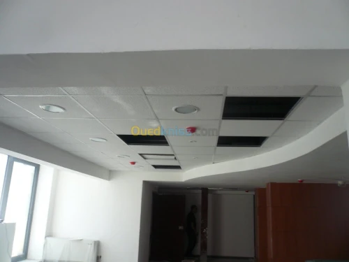 PLACOPLATRE - FAUX PLAFOND-PARQUET. PVC