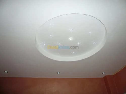 PLACOPLATRE - FAUX PLAFOND-PARQUET. PVC