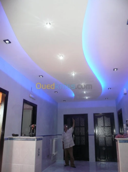 PLACOPLATRE - FAUX PLAFOND-PARQUET. PVC