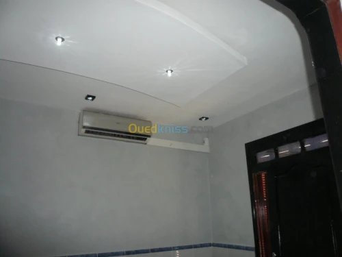PLACOPLATRE - FAUX PLAFOND-PARQUET. PVC