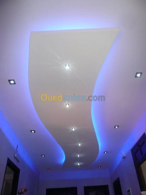 PLACOPLATRE - FAUX PLAFOND-PARQUET. PVC